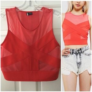 Coral Criss-Cross Sheer Crop Top